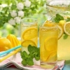 Domaća limunada sa mentom - recept iz limuna i mente