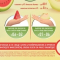 Watermelon vs dinja: sukob bundeve bobice