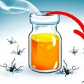 Domaći komarci sa sirćetom