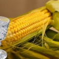 Recepti brakova od kukuruza, kuhajući domaći kukuruz