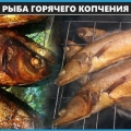 Tehnologija i recepti kuća kuhanje vruće dimljene ribe