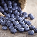 Blubovi korisna svojstva i kontraindikacije