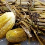 Classic sauer krastavac recepti