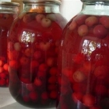 Kompot trešnje sa crnim ribizlom