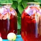 Kompot sa jabuka za zimu na 3 litarskoj posudi: recepti sa fotografijama