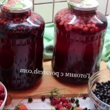 Kompot sa jagoda i crne ribizle za zimu na 3 litre