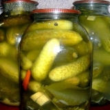 Konzervirani sauri cuccumbers