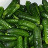 Konzervirani krastavci sa senfom