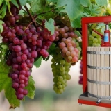 Pregled preše za vino, rukovanje drobiljem i pritiskom soka od grožđa, zamena vinskog prescreeta