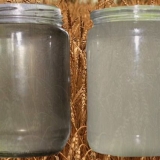 Čišćenje i posvjetljivanje brage prije destilacije