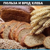 Značajke odabira hljeba za hranu, sa pp ili mršavom