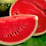 Sadnja sjemenki lubenice na otvorenom tlu: raste veliki i slatki!