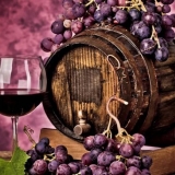 Prednosti i nedostaci drvenih bačva, plastičnih i nehrđajućih sprem...