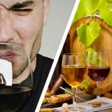 Uzroci transformacije vina u sirće, metode prevencije