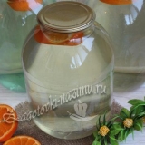 Recepti birch soka za zimu