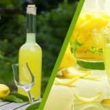 Recepti lemoncello, grickalice do limuna laganja, kokteli sa limunom