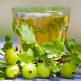 Recepti za kuhanje domaćih vina, tićure i punjenje iz kostiju