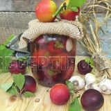 Šljive kiseli sa češnjakom