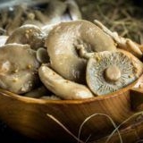 Saned groove: najbolji recepti od vrućeg u hladni znak