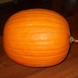 Pumpkin vitamin: opis raznolikosti prinosa i povratnih informacija o biljnoj kulturi