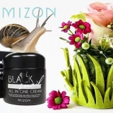 Ulief korean krem ​​mizone (vrste i svojstva)