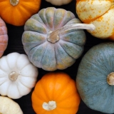 Kuhajte najukusniju i korisnu bundevu: izbor pravih savjeta