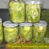 Billet za zimu okruska