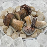 Smrznute gljive (7 savjeta i 6 recepata)