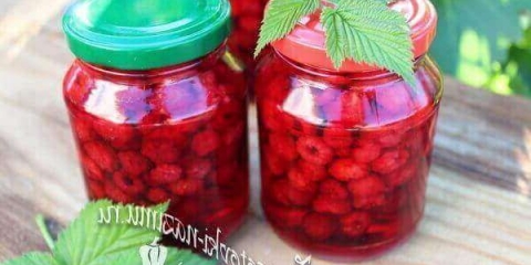 5 Najboljih recepata za maline šećer za zimu bez kuhanja