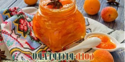 Jam za marelice za zimski recept sa fotografijom