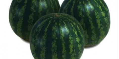 Watermelon krimstar f1