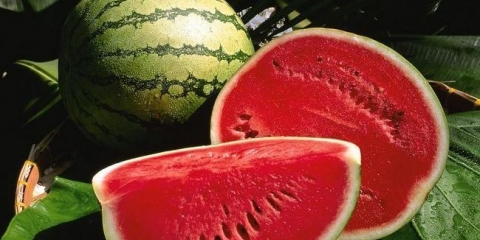 Kako napraviti lubeno vino kod kuće?