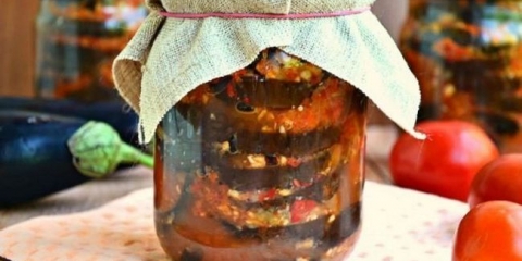 Patlidžan za zimu u adzhik receptu sa fotografijama