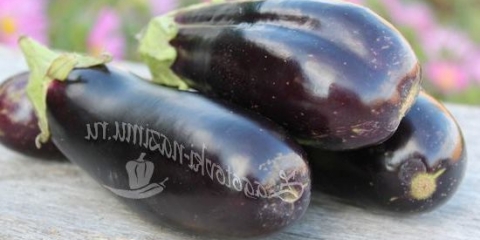 Sjatnici u paradajz soku