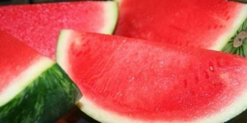 Lubenice mudžića - otkrivaju tajnu uzgoja