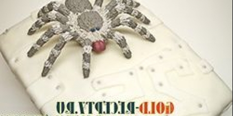 Torta za keks spider