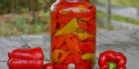 Bugarski biber za zimu bez sirćeta