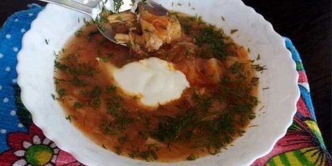 Borsch sa piletinom i svježim kupusom