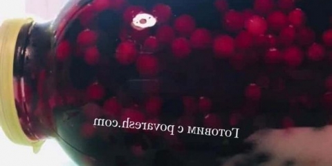 Brza vjeverica iz smrznutih bobica (trešnje, ribizla, brusnice)