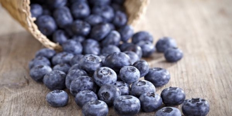 Blubovi korisna svojstva i kontraindikacije