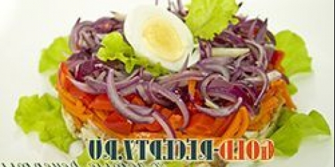 Dijetalna salata od skutera