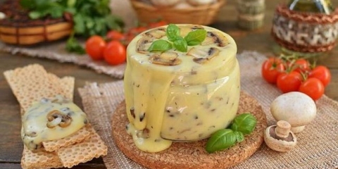 Dom rastopljeni recept sira sa fotografijom