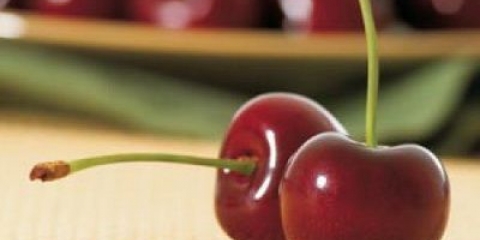 Cherry