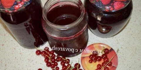Zastoj iz crvene ribizle za zimu pet minuta bez sjemena