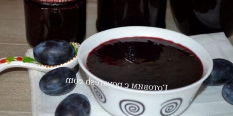 Jam od odvoda bez kostiju: recept za jednostavan i ukusan džem od šljive