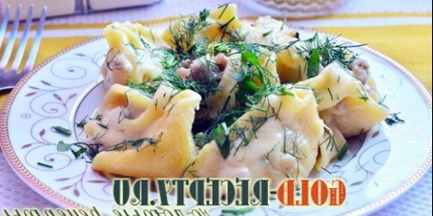 Punjena tjestenina s mljevenim membranama punjene školjke tjestenine sa miljenim mesnim receptom sa fotografijom