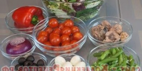 Francuska salata nisauz sa tunom