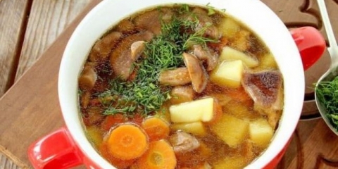 Juha sa svježim gljivama od gljiva (10 ukusnih recepata)