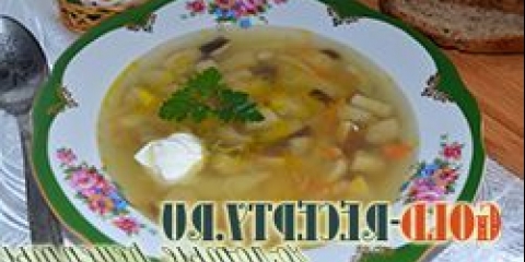 Juha od gljiva svježih gljiva bijeli recept sa fotografijom