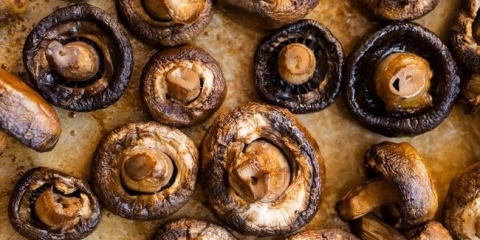 Gljive u pećnici - 7 recepata